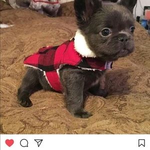 Meet your Posher, Jane